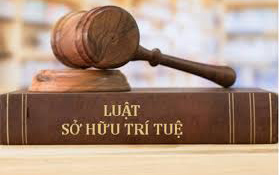 Tư vấn luật Sở hữu trí tuệ