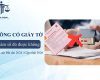 Không có giấy tờ có làm Sổ đỏ được không năm 2026? Điều kiện cấp theo Luật Đất đai 2024